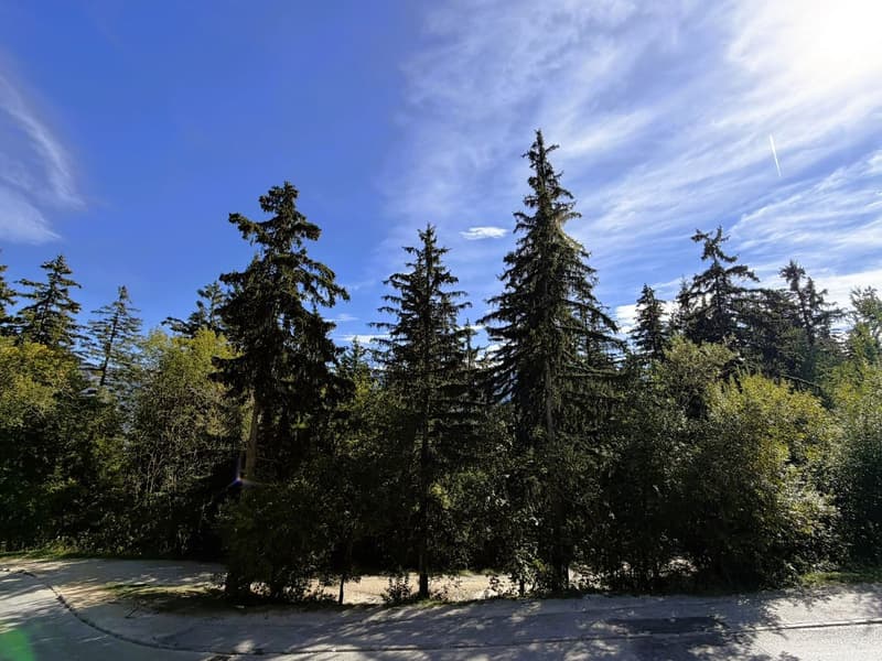 Chalet de 4.5 pces - Neuf - Très cosy - Spacieux et lumineux - Endroit très calme - Bien situé (19)