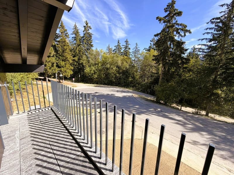 Chalet de 4.5 pces - Neuf - Très cosy - Spacieux et lumineux - Endroit très calme - Bien situé (18)