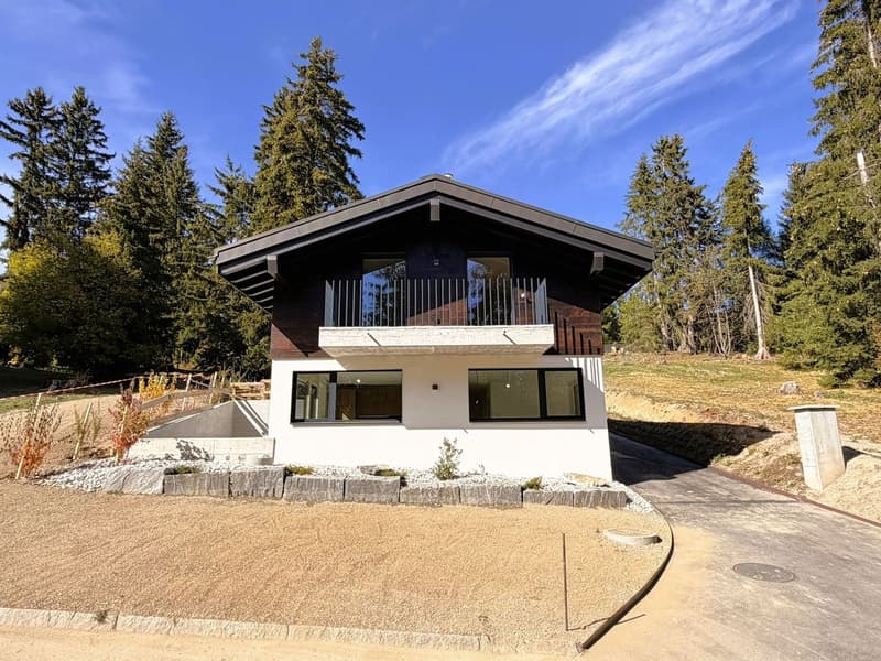 Chalet de 4.5 pces - Neuf - Très cosy - Spacieux et lumineux - Endroit très calme - Bien situé (20)