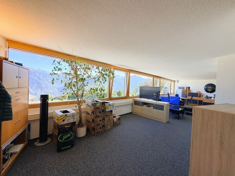 Magnifique loft de 2.5 pces - Très spacieux & très lumineux - Superbe vue - Lieu calme - Bien situé (3)
