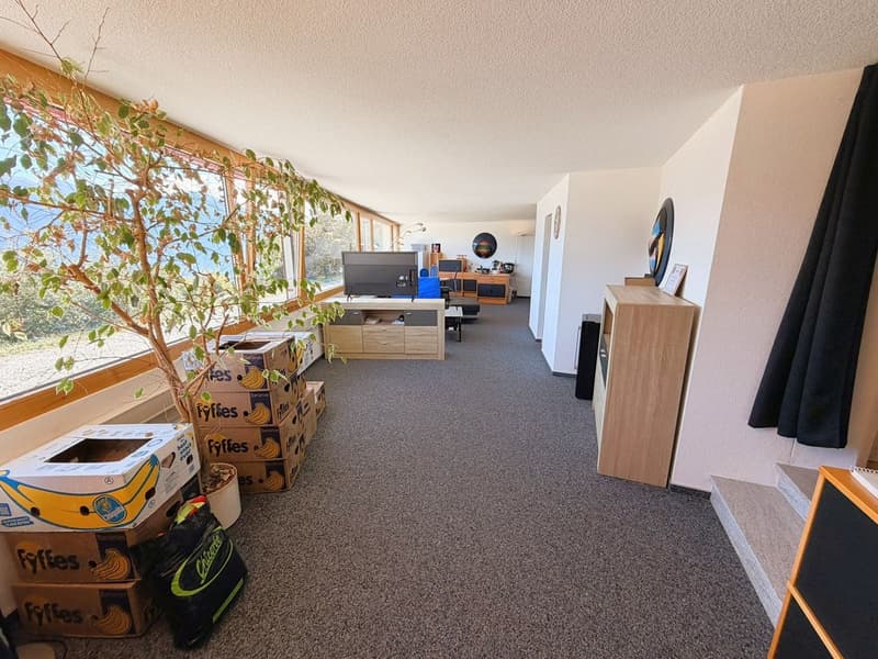 Magnifique loft de 2.5 pces - Très spacieux & très lumineux - Superbe vue - Lieu calme - Bien situé (2)