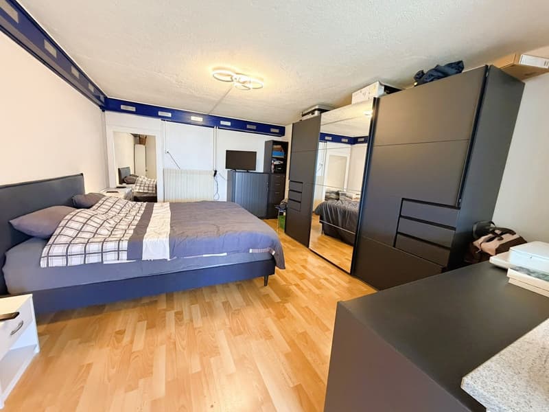 Magnifique loft de 2.5 pces - Très spacieux & très lumineux - Superbe vue - Lieu calme - Bien situé (8)
