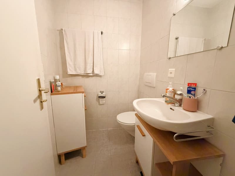 Magnifique loft de 2.5 pces - Très spacieux & très lumineux - Superbe vue - Lieu calme - Bien situé (13)
