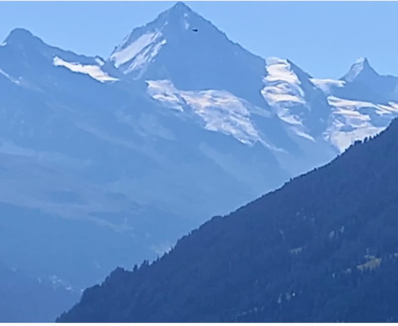 Appartement de 3.5 pièces avec vue panoramique sur les montagnes à Les Collons (5)