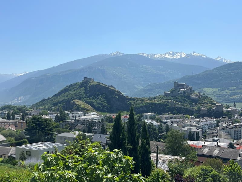 Route du Coteau, 1950 Sion
