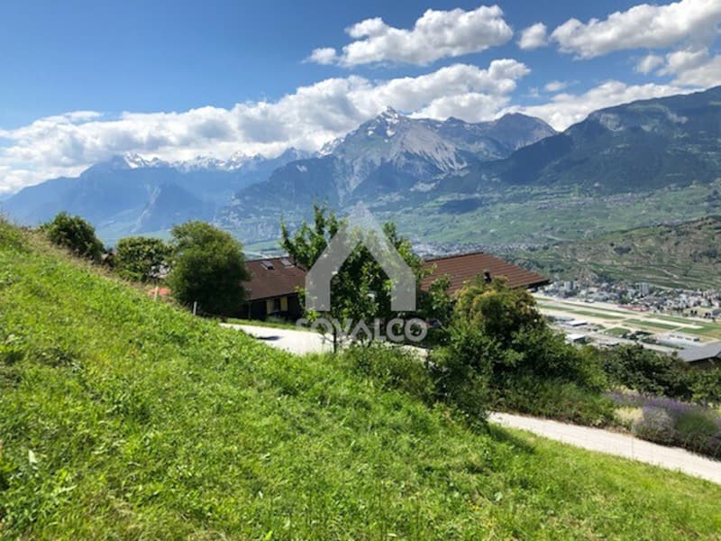 Grande et magnifique parcelle en Valais central (2)