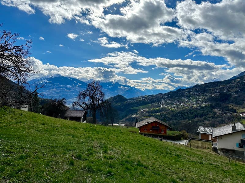 Rare ! Grande parcelle avec vue imprenable (2)