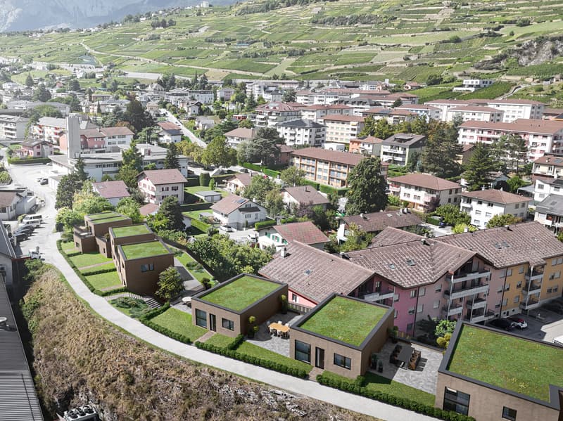 "ROCHER EN VILLE" 6 VILLAS DE STANDING AU COEUR DE SION (6)
