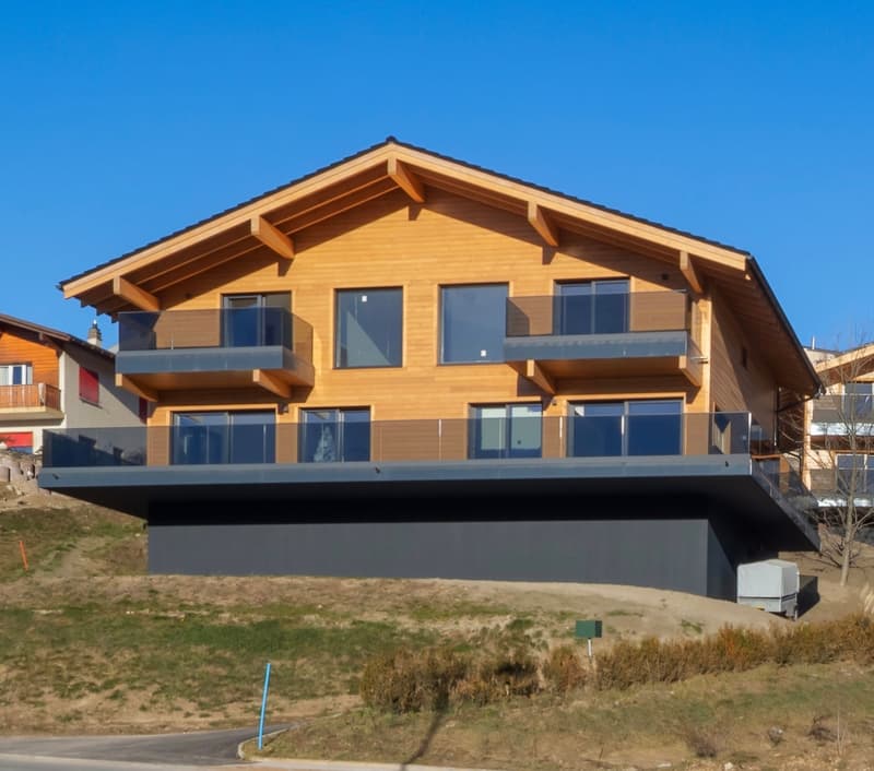 Chalet d'exception avec vue imprenable (2)