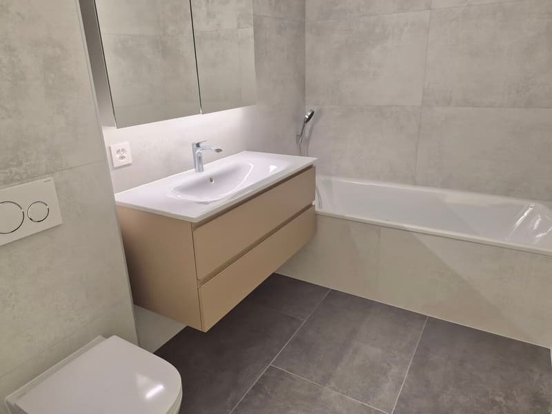 Appartement 5.5 pièces "La Lézardière" à Rarogne (6)