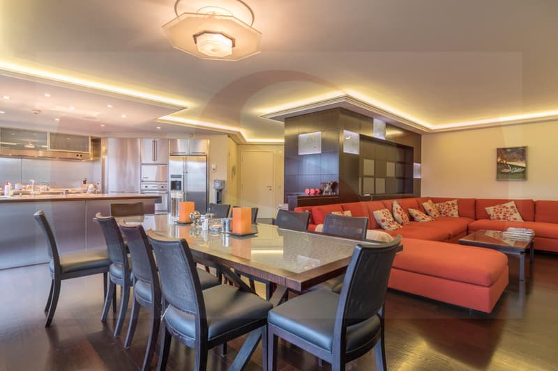 Unique Penthouse au centre ville (7)