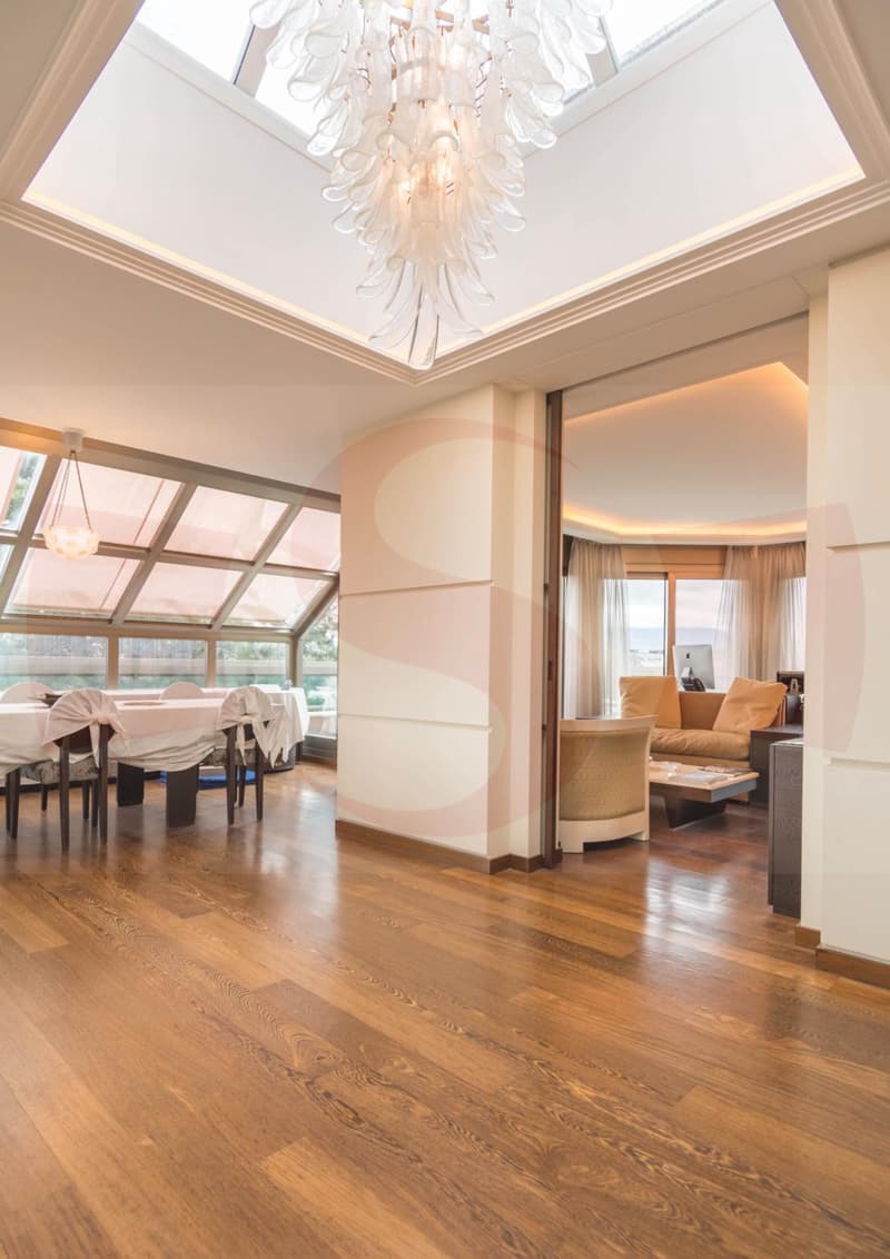 Unique Penthouse au centre ville (3)