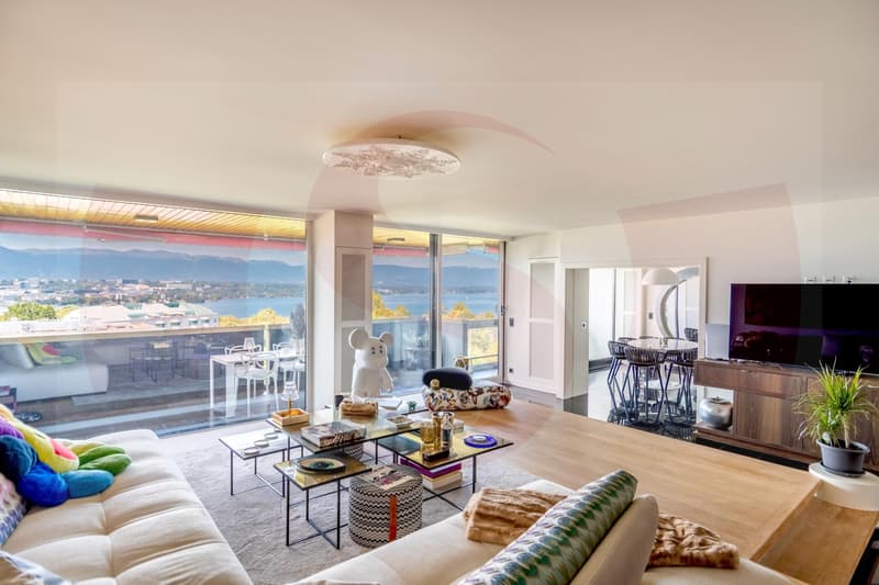 Exceptionnel appartement dominant Genève - Exclusivité (3)