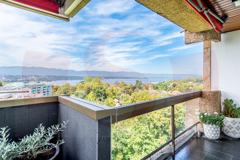 Exceptionnel appartement dominant Genève - Exclusivité (2)