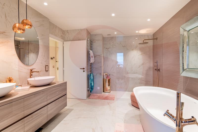 Exceptionnel appartement dominant Genève - Exclusivité (10)