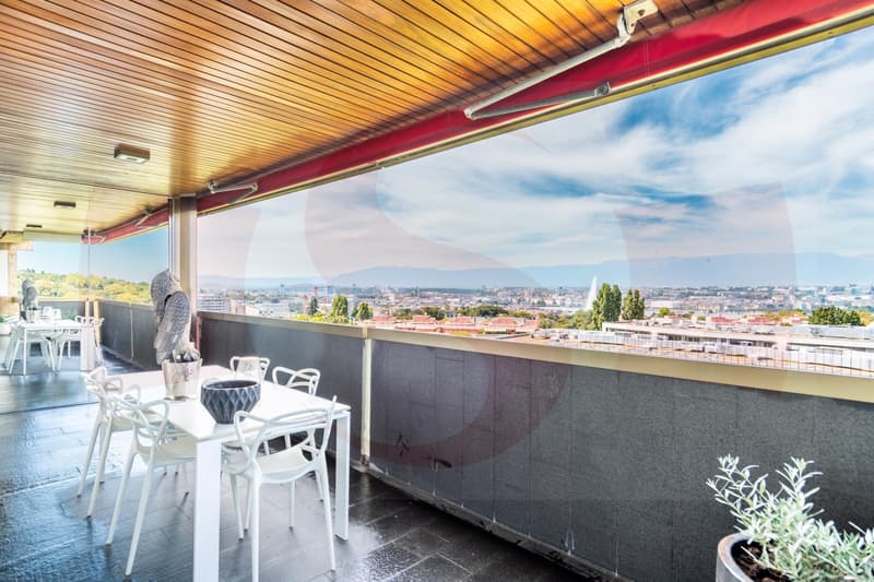 Exceptionnel appartement dominant Genève - Exclusivité (5)
