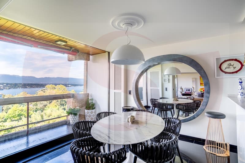 Exceptionnel appartement dominant Genève - Exclusivité (7)