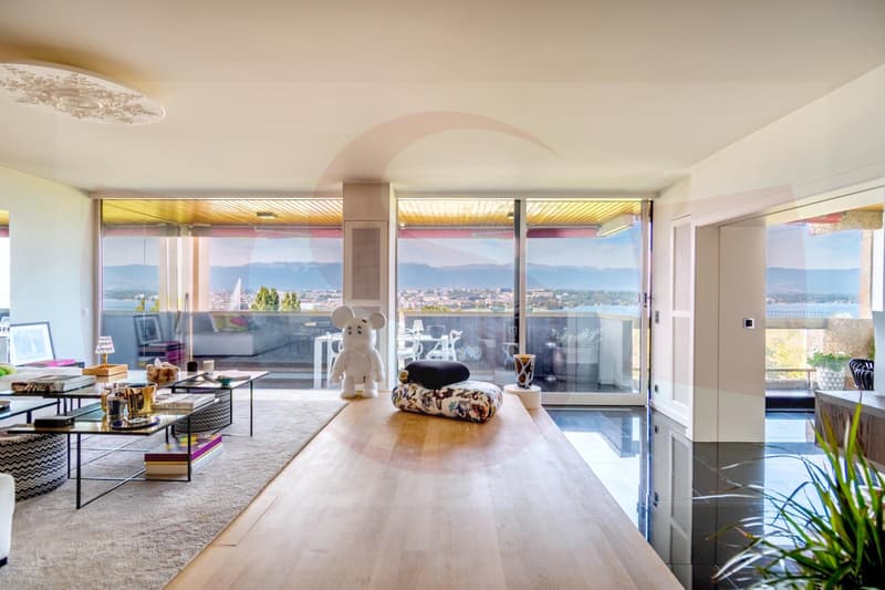 Exceptionnel appartement dominant Genève - Exclusivité (4)