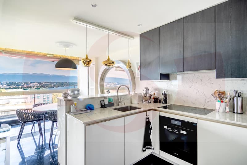 Exceptionnel appartement dominant Genève - Exclusivité (8)