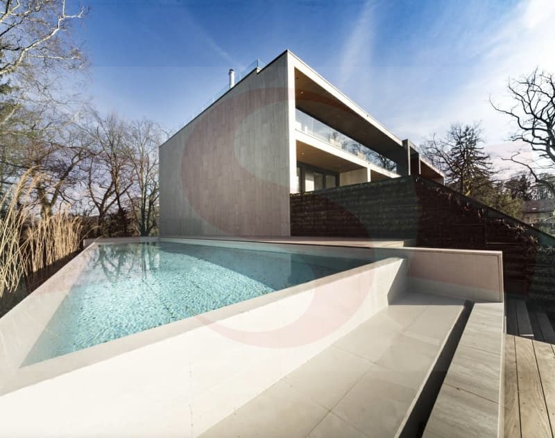 Magnifique Penthouse à proximité du centre de Genève (13)