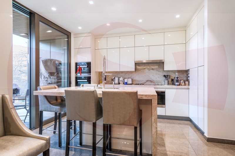Magnifique Penthouse à proximité du centre de Genève (5)