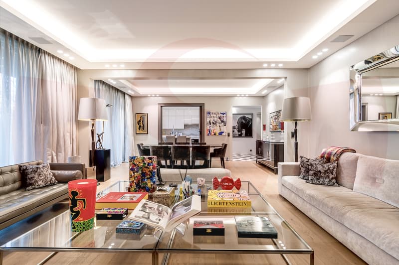 Magnifique Penthouse à proximité du centre de Genève (3)