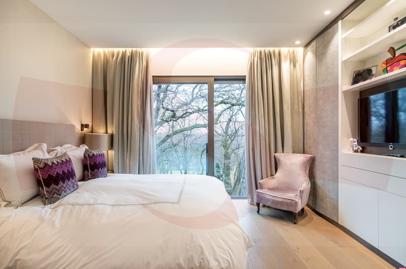 Magnifique Penthouse à proximité du centre de Genève (6)