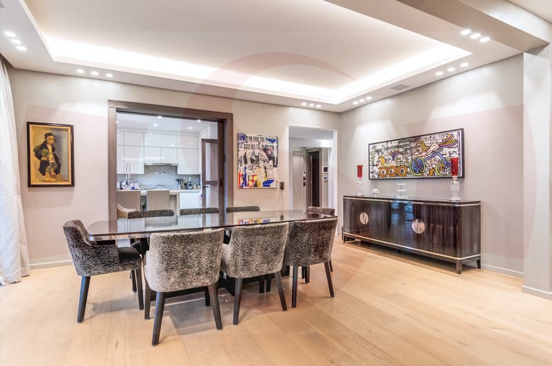 Magnifique Penthouse à proximité du centre de Genève (4)