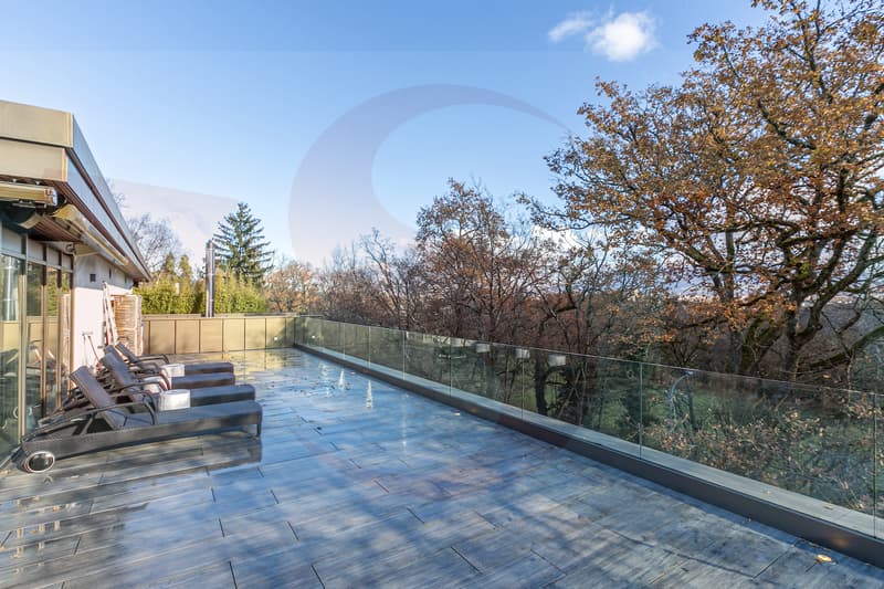 Magnifique Penthouse à proximité du centre de Genève (12)