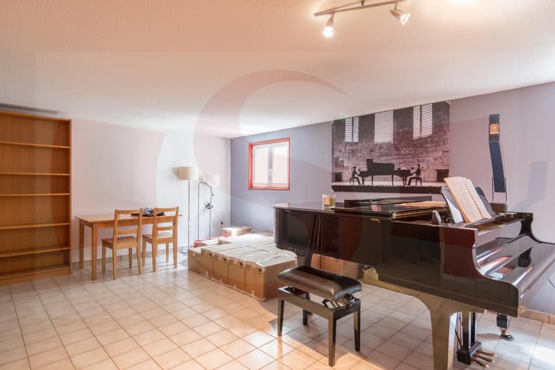 À louer très jolie villa mitoyenne à 10 minutes de Carouge (11)