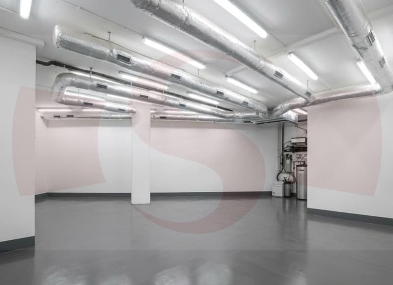Local professionnel (6)
