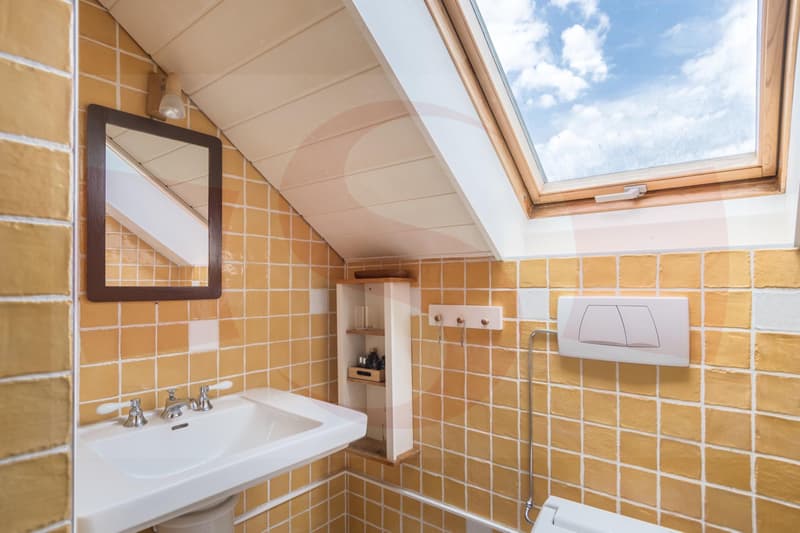 Très jolie villa mitoyenne à 10 minutes de Carouge (10)