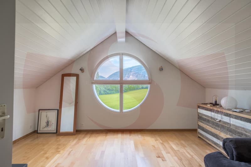 Très jolie villa mitoyenne à 10 minutes de Carouge (9)