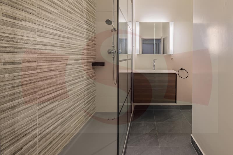 Appartement clés en main au centre ville (4)