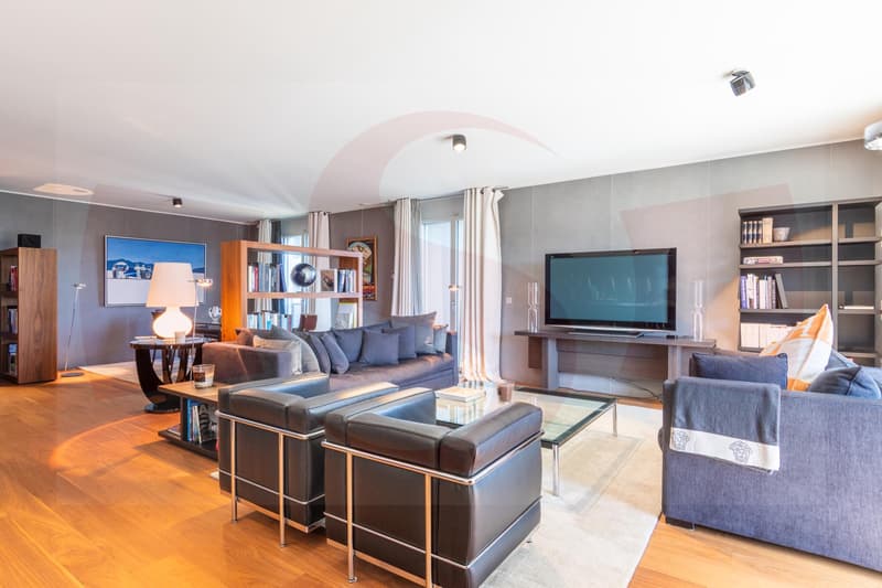 " Comme à l'hôtel " : Magnifique appartement à louer meublé pour longues ou courtes durées (2)