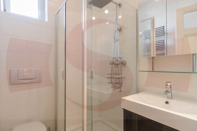 Superbe appartement de 7 pièces dans un immeuble ancien (13)