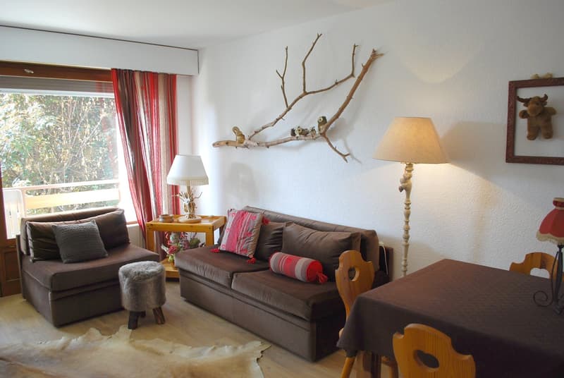 Charmant studio à louer à Crans-Montana (2)