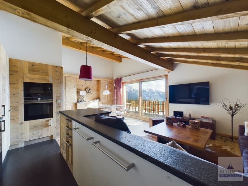 Hautes Roches 401 - appartement de vacances disponible à la saison d'hiver 26-27 (5)