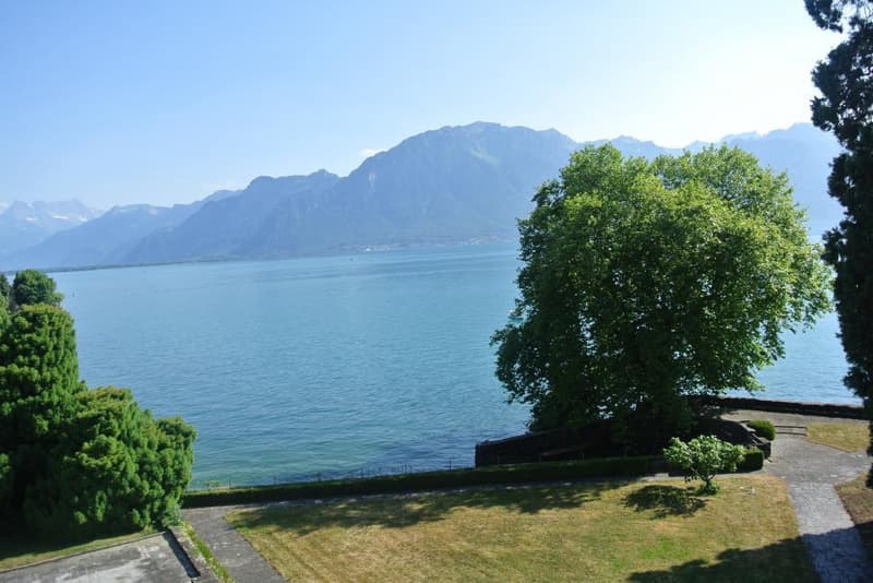 Propriété d'exception pied dans l'eau proche de Montreux (7)