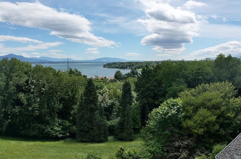 Propriété avec vue à Dully, excellent potentiel de constructibilité (3)