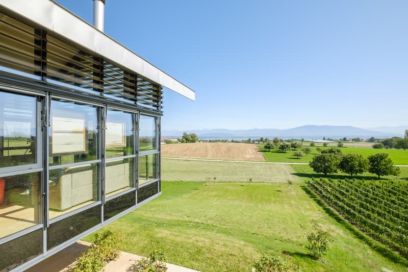 Superbe villa moderne, vue panoramique sur le lac et les Alpes, Founex (2)
