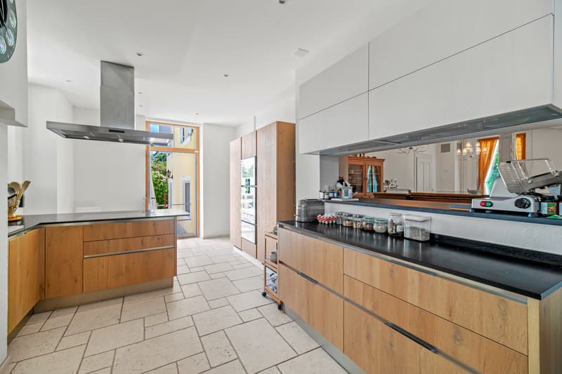 Propriété de charme avec 3 logements sur une belle parcelle à Giez (12)
