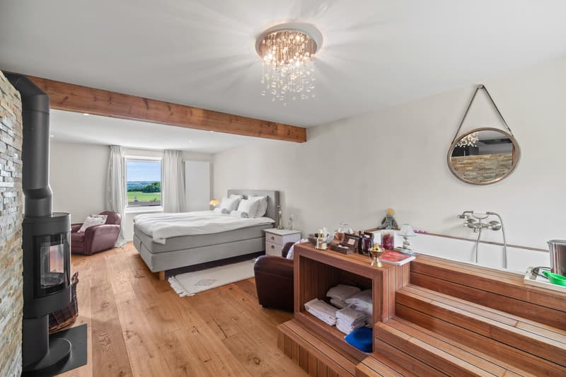 Propriété de charme avec 3 logements sur une belle parcelle à Giez (9)