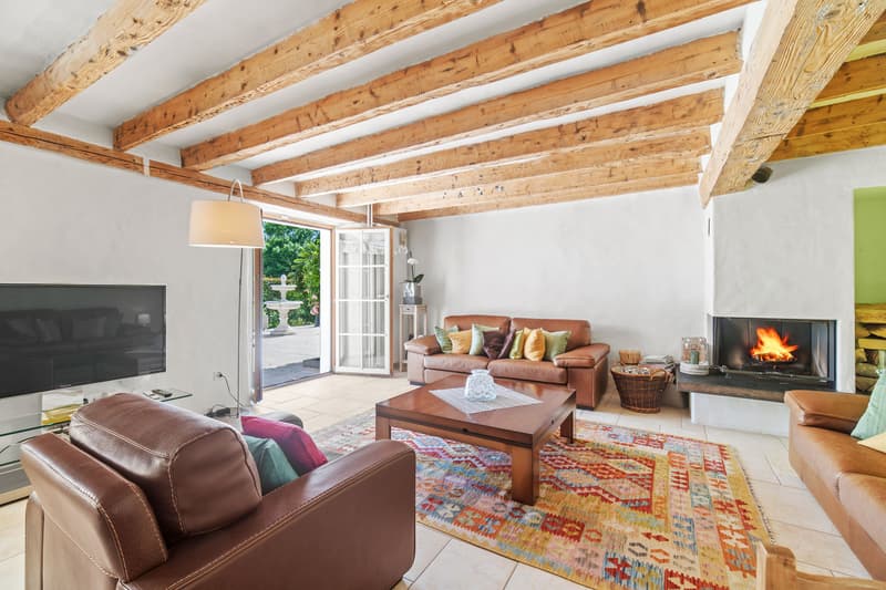 Propriété de charme avec 3 logements sur une belle parcelle à Giez (3)