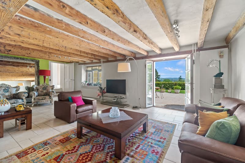 Propriété de charme avec 3 logements sur une belle parcelle à Giez (6)