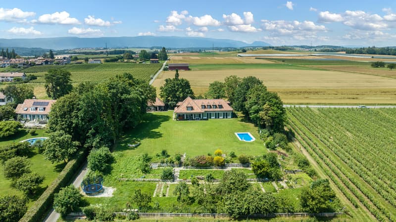 Très belle propriété familiale au coeur des vignes avec piscine à Etoy (4)