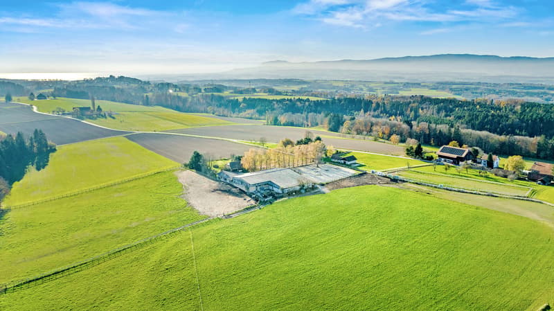 Rare propriété équestre à fort potentiel proche de Lausanne (2)