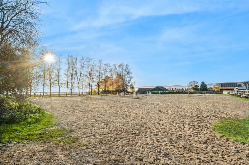 Rare propriété équestre à fort potentiel proche de Lausanne (12)