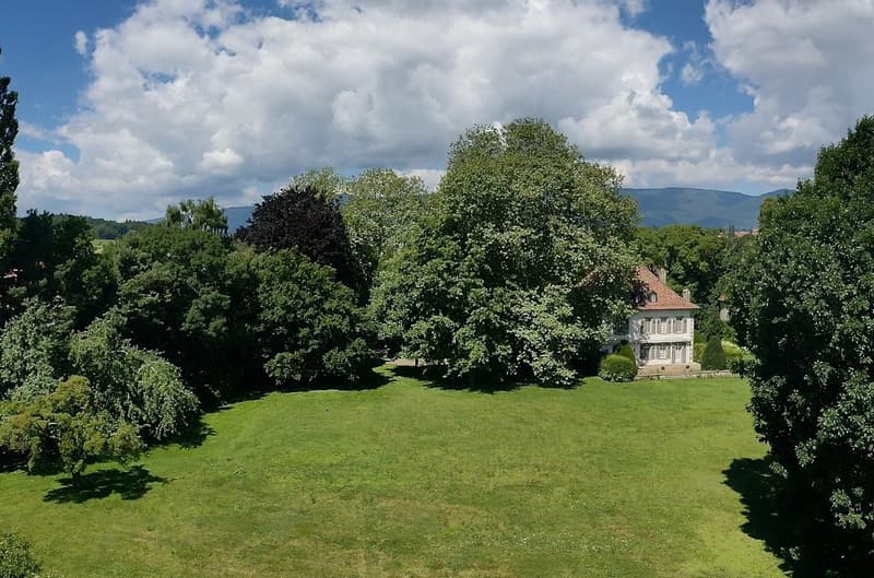 Superbe propriété  nichée dans un parc avec piscine proche de Morges (12)