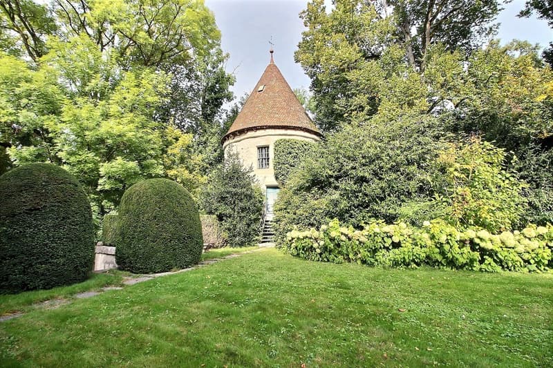 Superbe propriété  nichée dans un parc avec piscine proche de Morges (10)